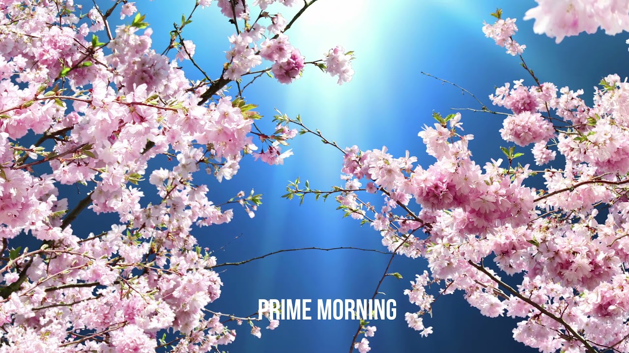 HD 4K prime morning Relaxing music for calm piano music