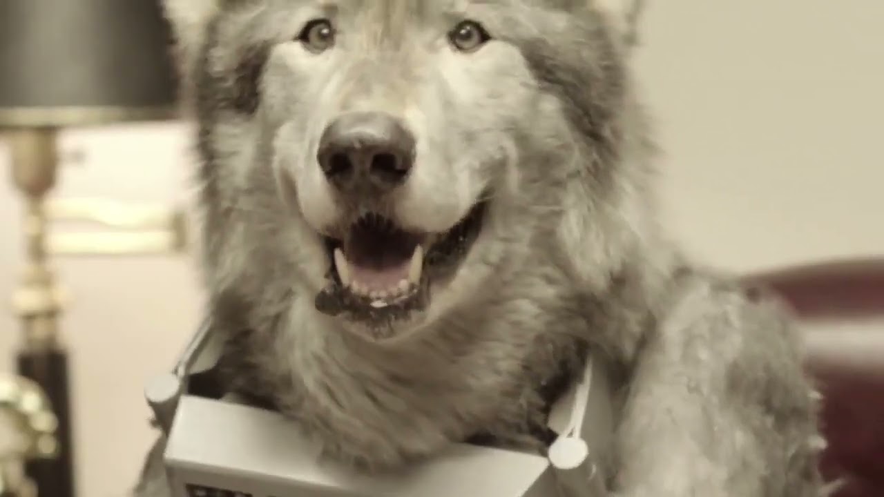 Old Spice: Akademia Wolfdoga - 
