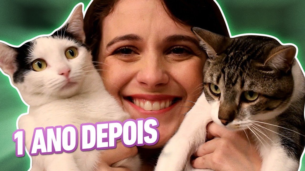 1 ano de cachorro e gato juntos | O que mudou?