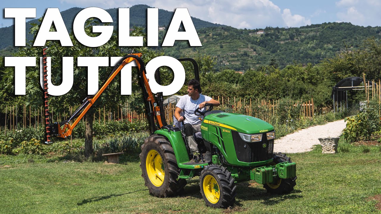 Ho SISTEMATO le SIEPI del PODERE