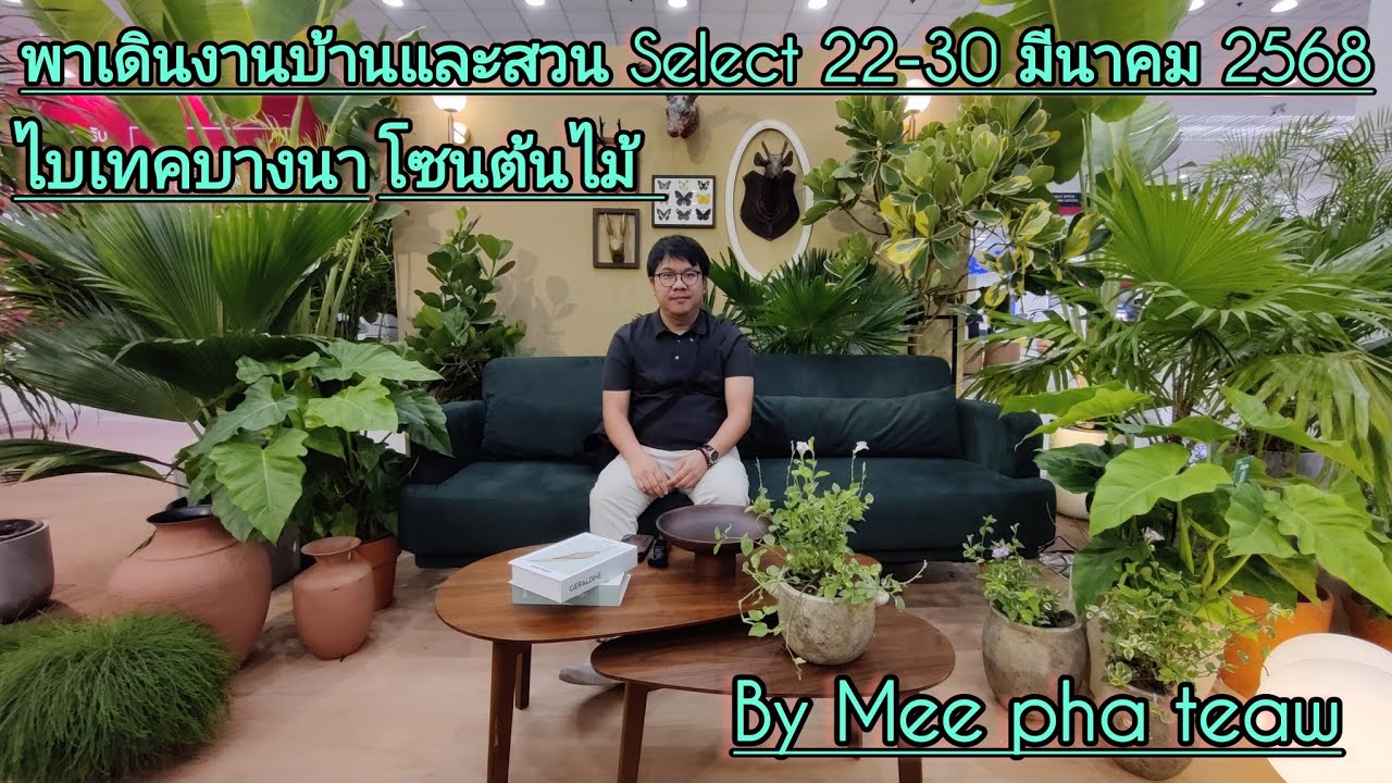 พาเดินชมต้นไม้ งานบ้านและสวน Select  22-30 มีนาคม 68 ไบเทคบางนา #บ้านและสวน #Mee pha teaw