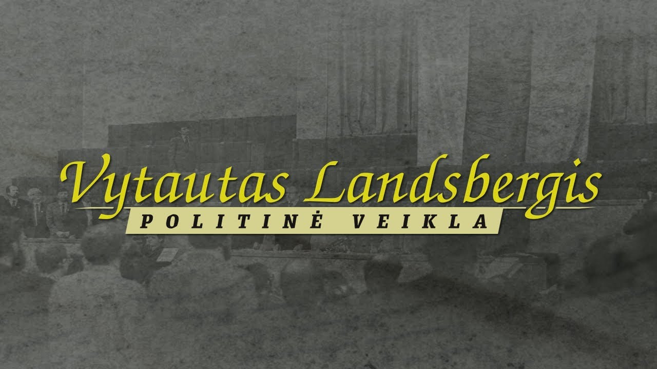 Vytautas Landsbergis. Politinė veikla