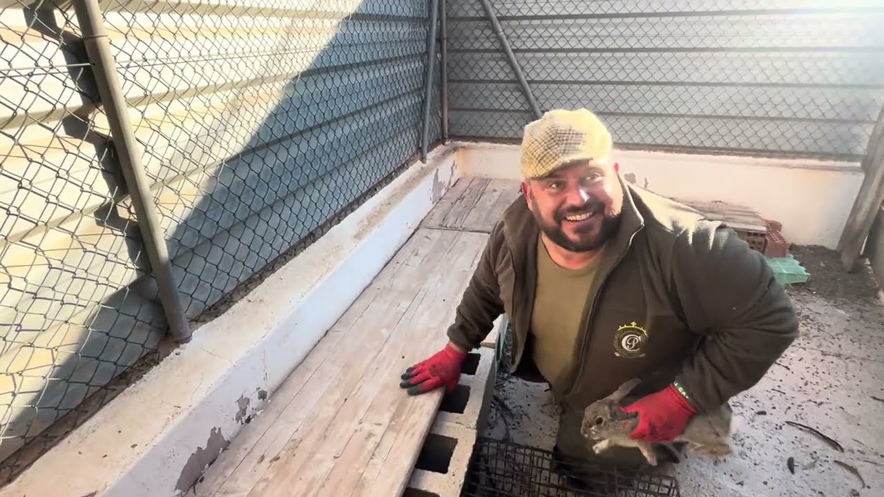 Camperos vamos a pillar los conejos del patio👍😘❤️Siempre Parriba Mi Gente