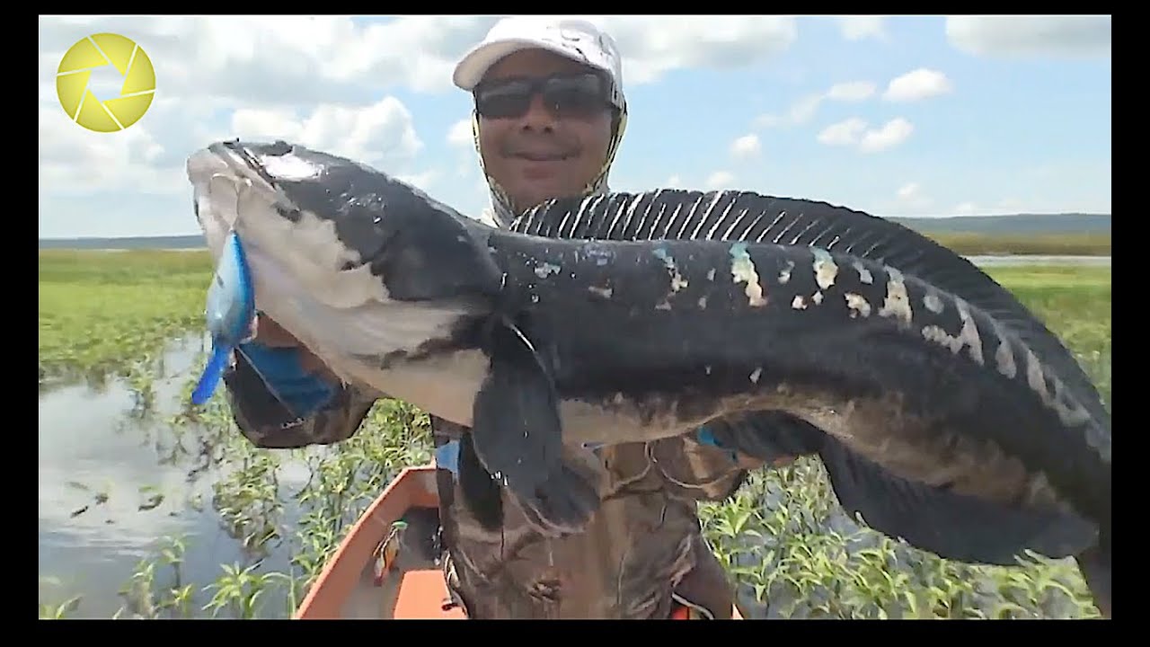 Most unexpected fish caught in an unusual fishing way