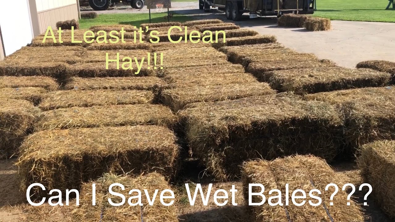 Putting Small Square Bales in the Barn