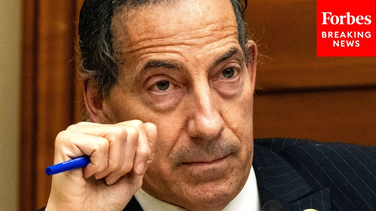 Jamie Raskin Asks Expert How Purchased Data Is Used To Create 'Comprehensive Profiles' Of Americans