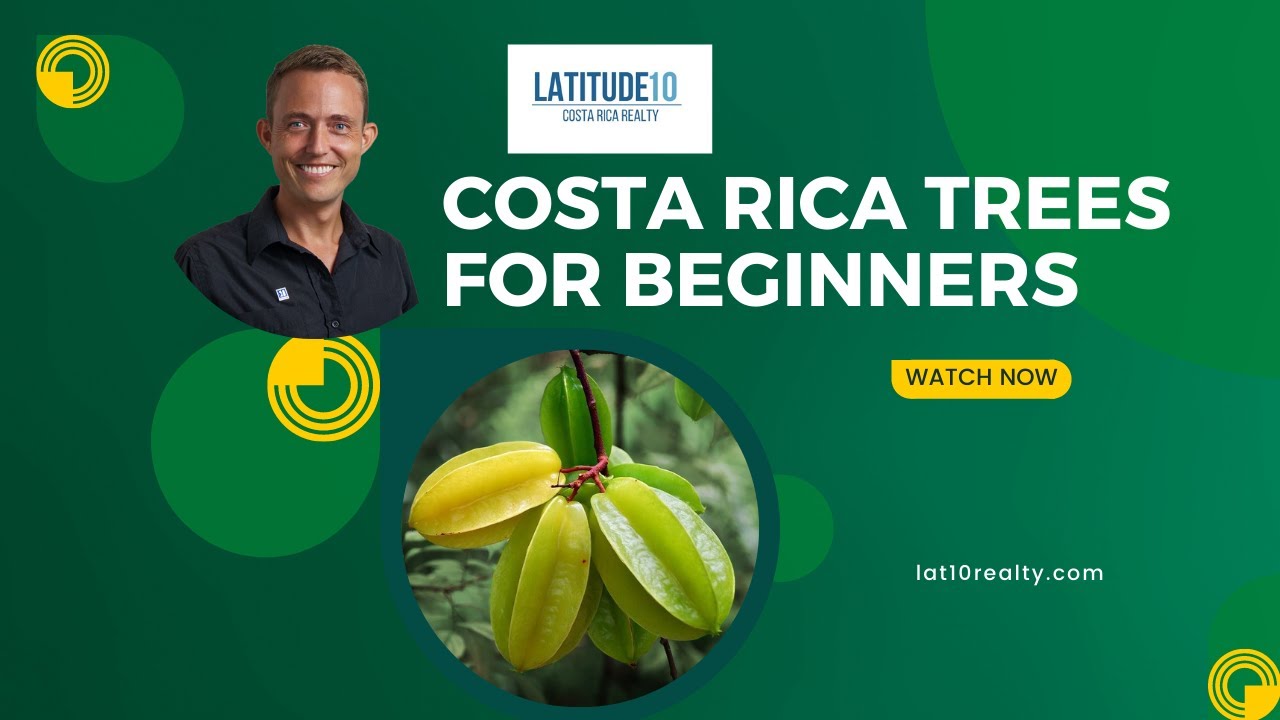 Amazing Costa Rica Trees | Permaculture | Costa Rica Matt