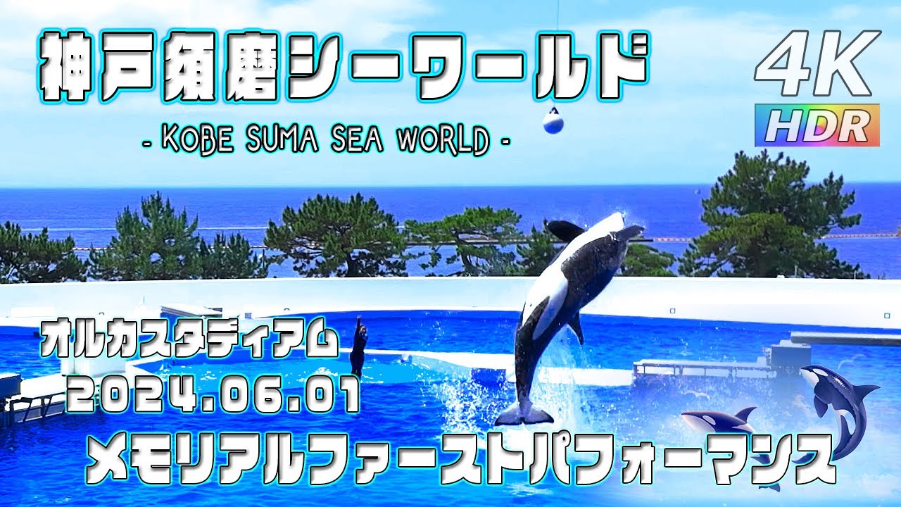 【4K HDR】 シャチの大迫力が目の前に！メモリアルファーストパフォーマンス - 神戸須磨シーワールド オルカスタディアム - KOBE SUMA SEA WORLD - スマシー VLOG
