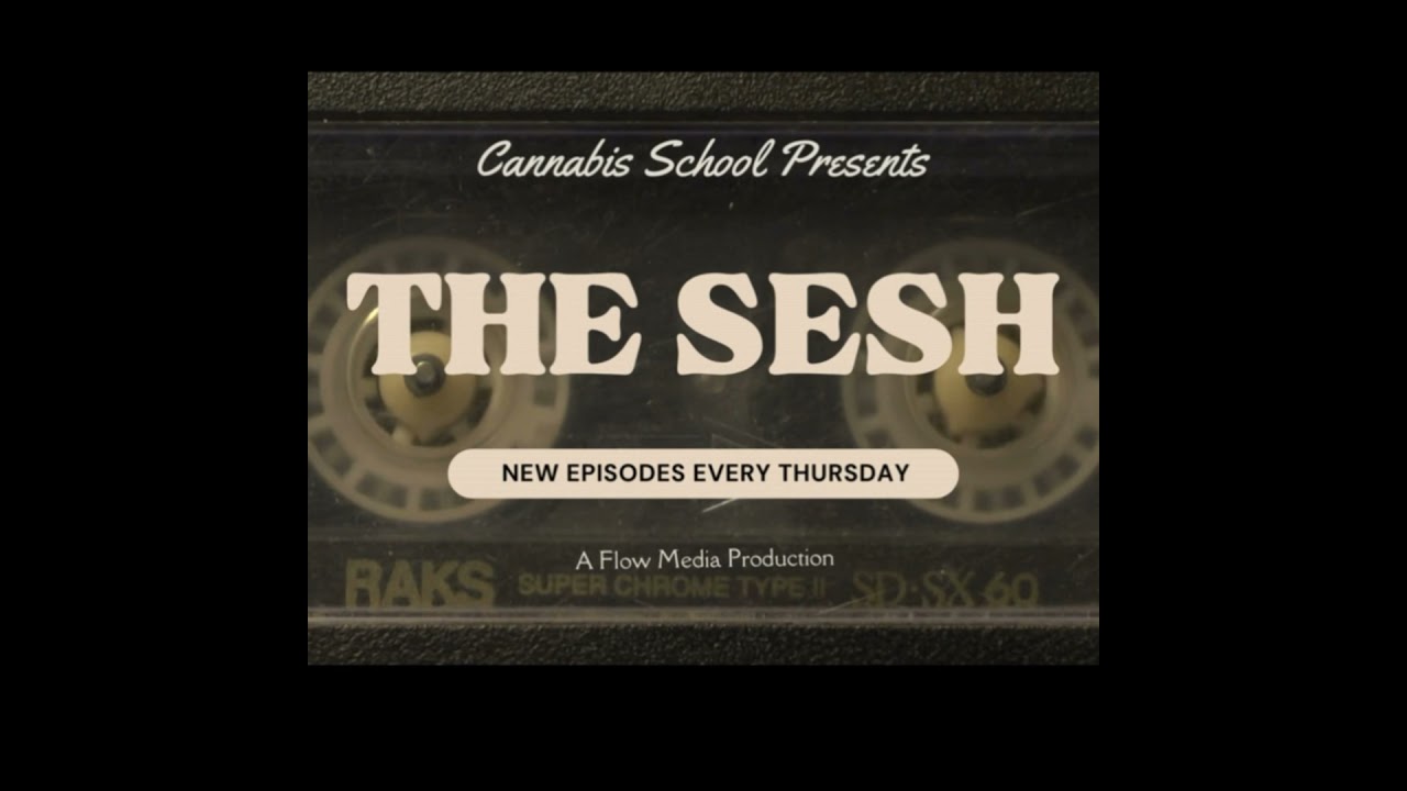 The Sesh: High Thoughts &ndash; Where Logic Goes to Die
