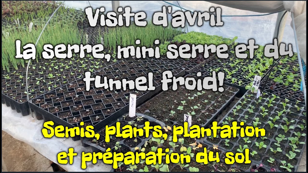Québec | Visite AVRIL | Serre/mini serre/tunnel froid | Travaux, Semis, Plantation et Préparation!