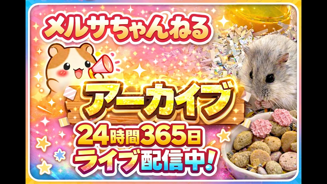 🔴🐹LIVE メルサ ジャンガリアンハムスター🐹❤️ 24時間365日 リアルタイム配信❣️ MERUSA the Djungarian Hamster🐹❤️ — 24/7 Live Stream❣️