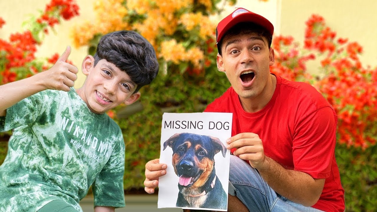 Aiutiamo Jason e Alex a ritrovare gli animali smarriti