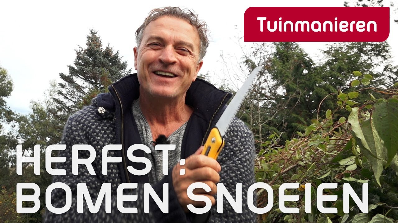 Bomen snoeien in herfst of winter | Tuinmanieren