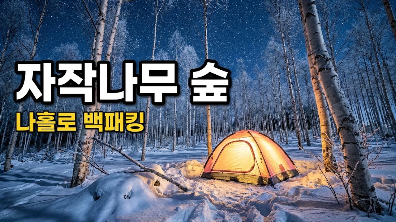 [Backpacking] 영하 18도❄️ 나홀로 자작나무 숲에서 보내는 하룻밤⛺️
