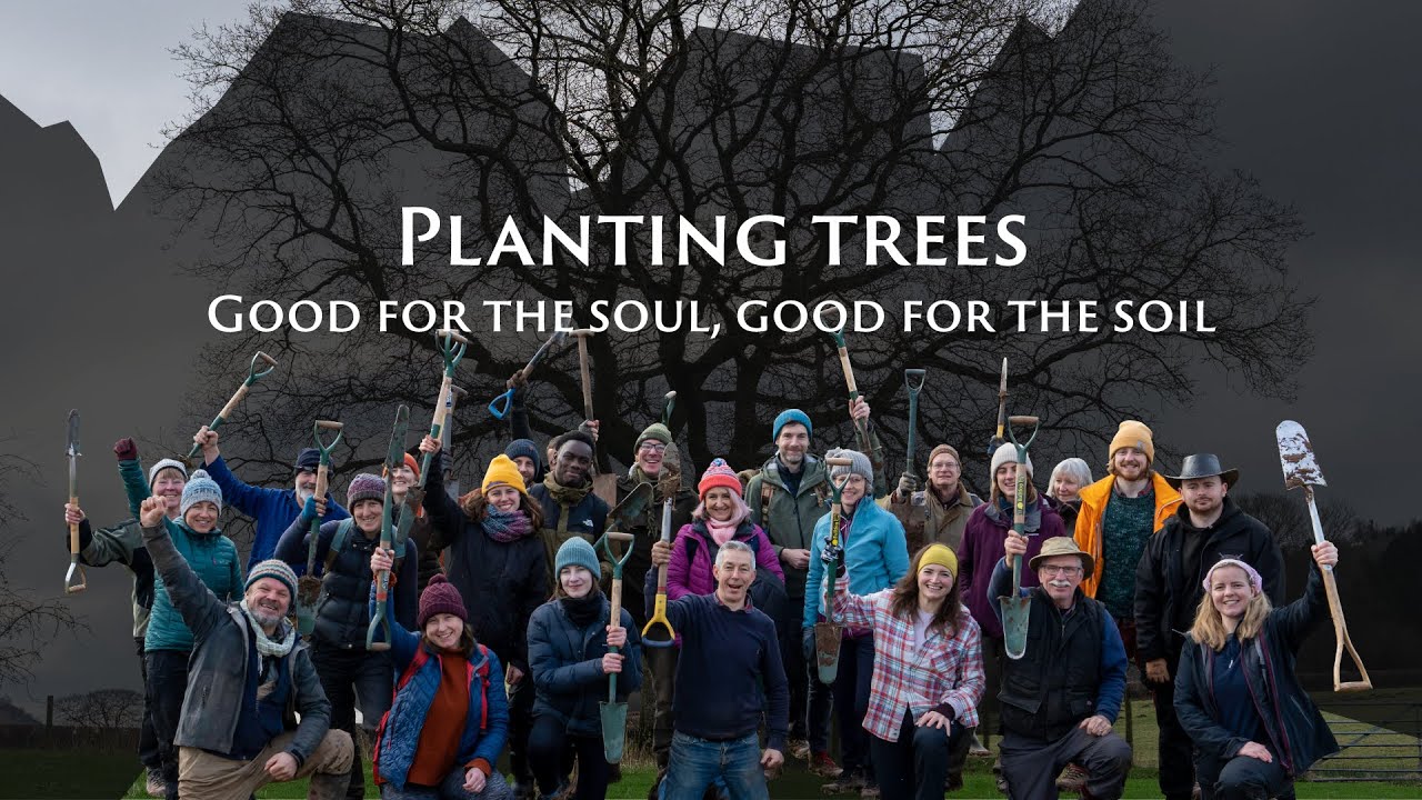 Planting trees: good for the soul, good for the soil