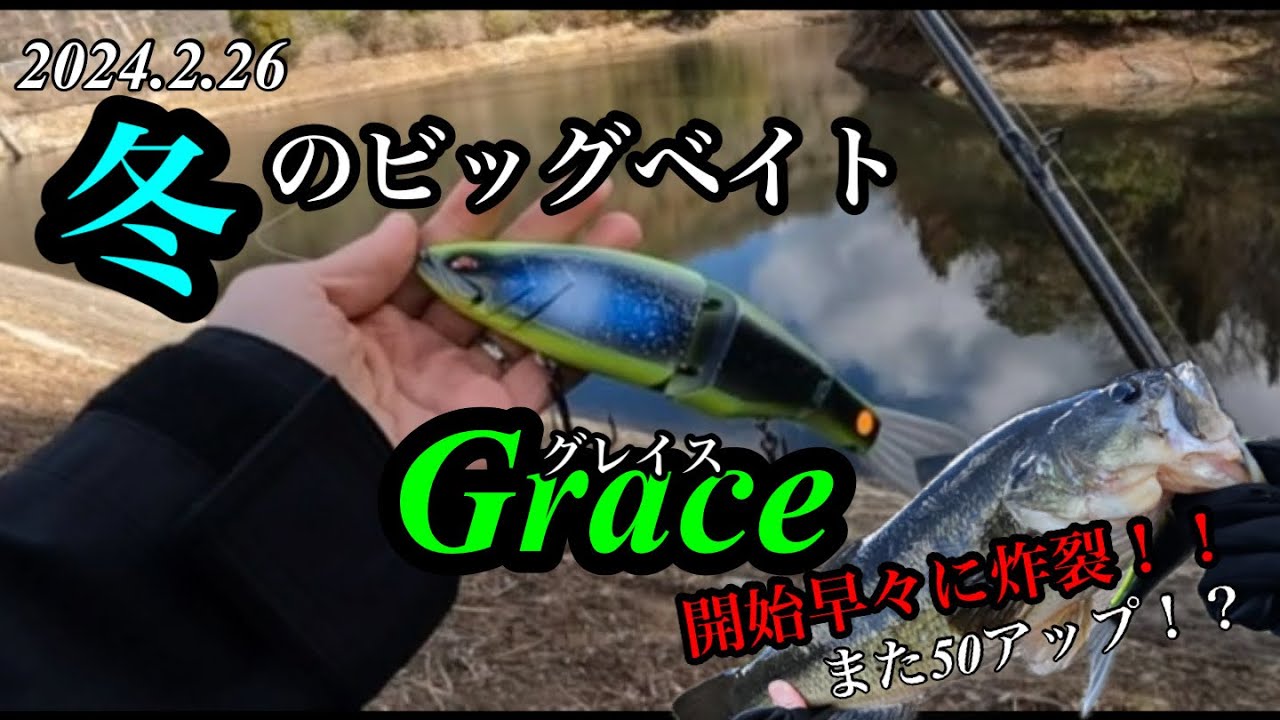 【バス釣り】2024.2.26 冬のビッグベイト　Grace 開始早々に炸裂！