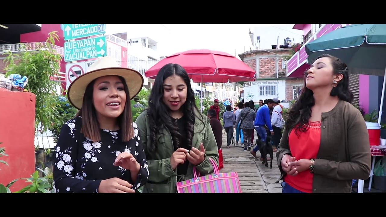 Tianguis de Frutas y Plantas Tetela del Volcán