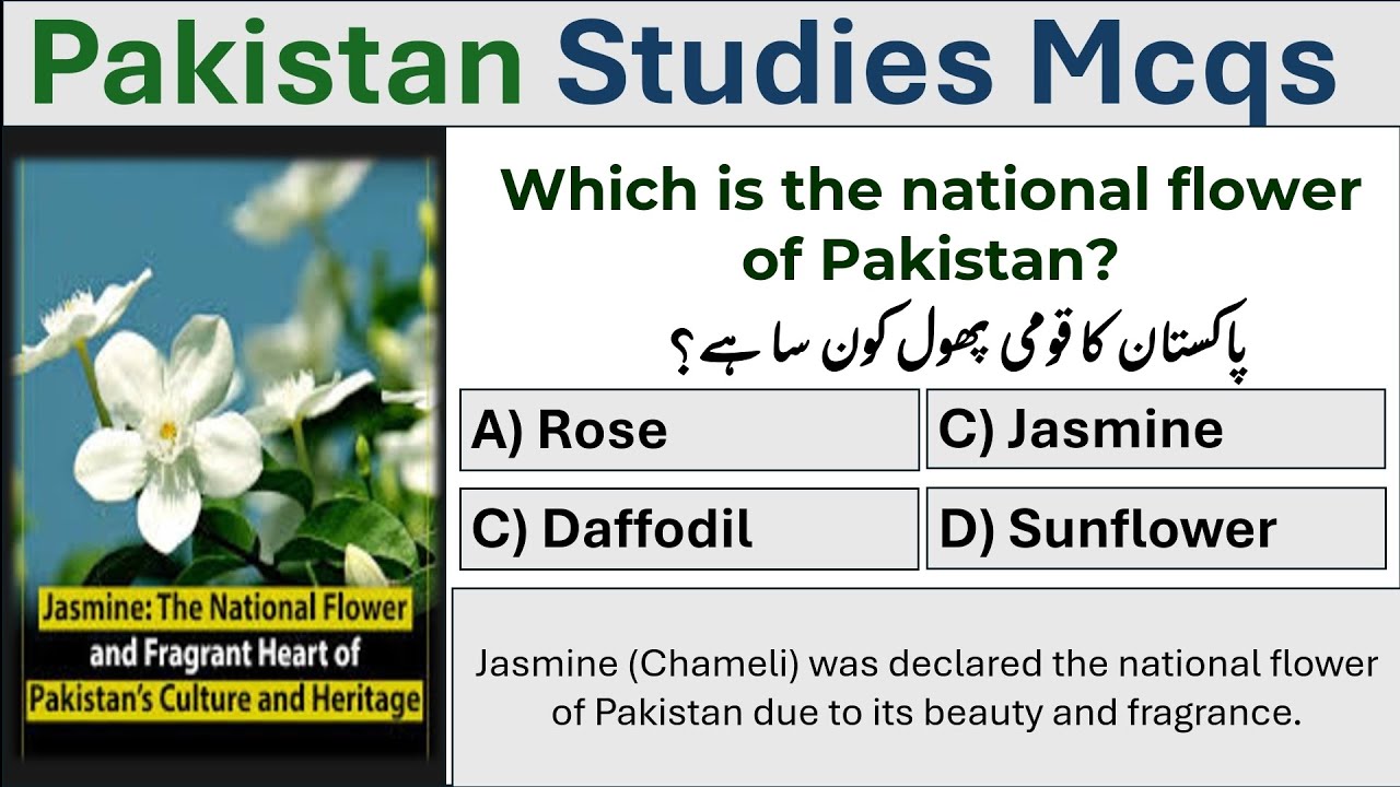 Top 1000 Pakistan Studies Mcqs Part-2 2025 | top Pakistan GK Mcqs ppsc fpsc nts pts etea  police