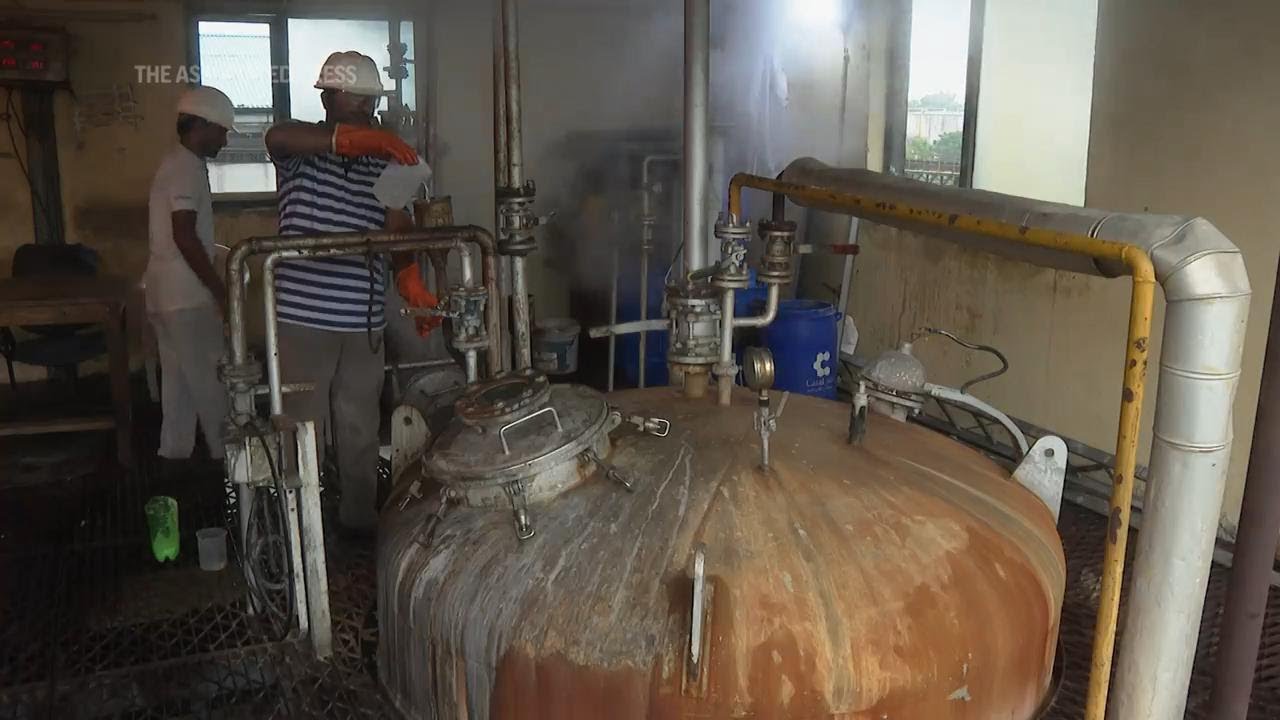 G20 host India proposes global biofuel alliance to support energy transition