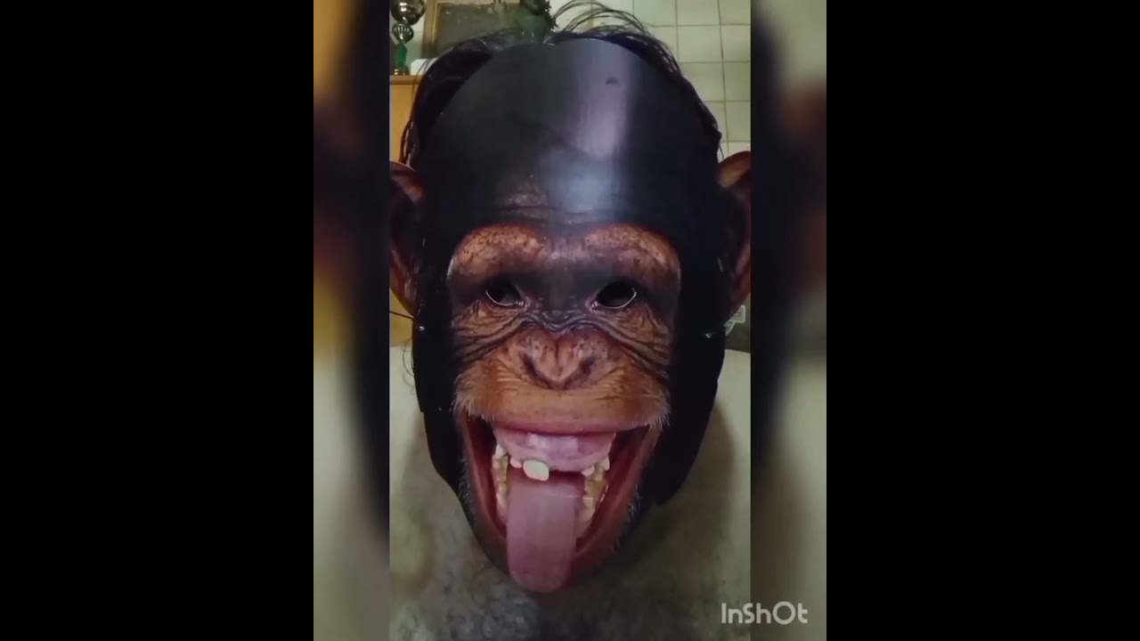 No me dejes solo