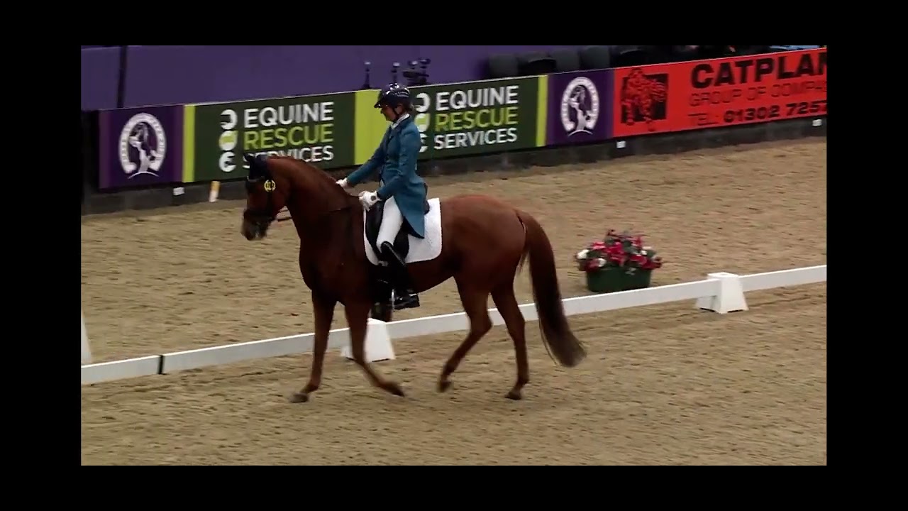 Hawtins Lirica HOYS 2024 Dressage Future Elite Championship 4th