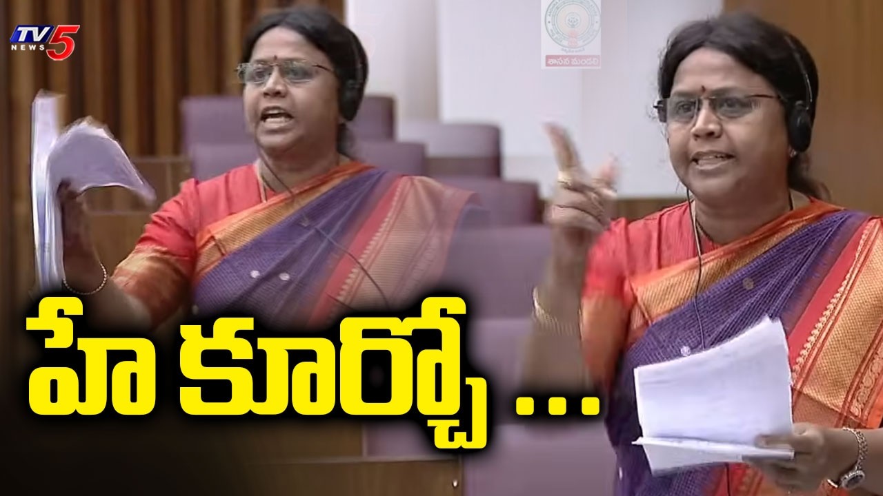 హే కూర్చో ... TDP MLC Anuradha Aggressive Reaction In Legislative Council | YSRCP | TV5