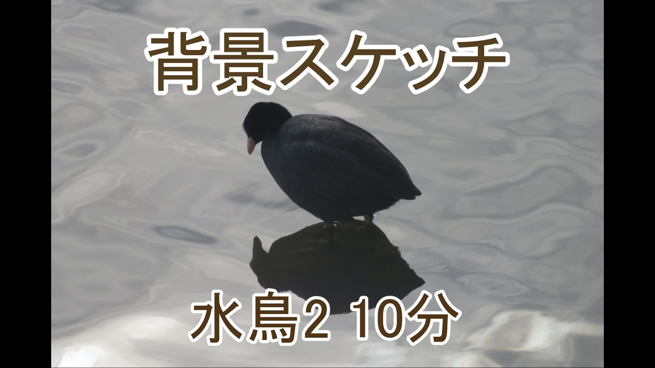 水鳥2 10分