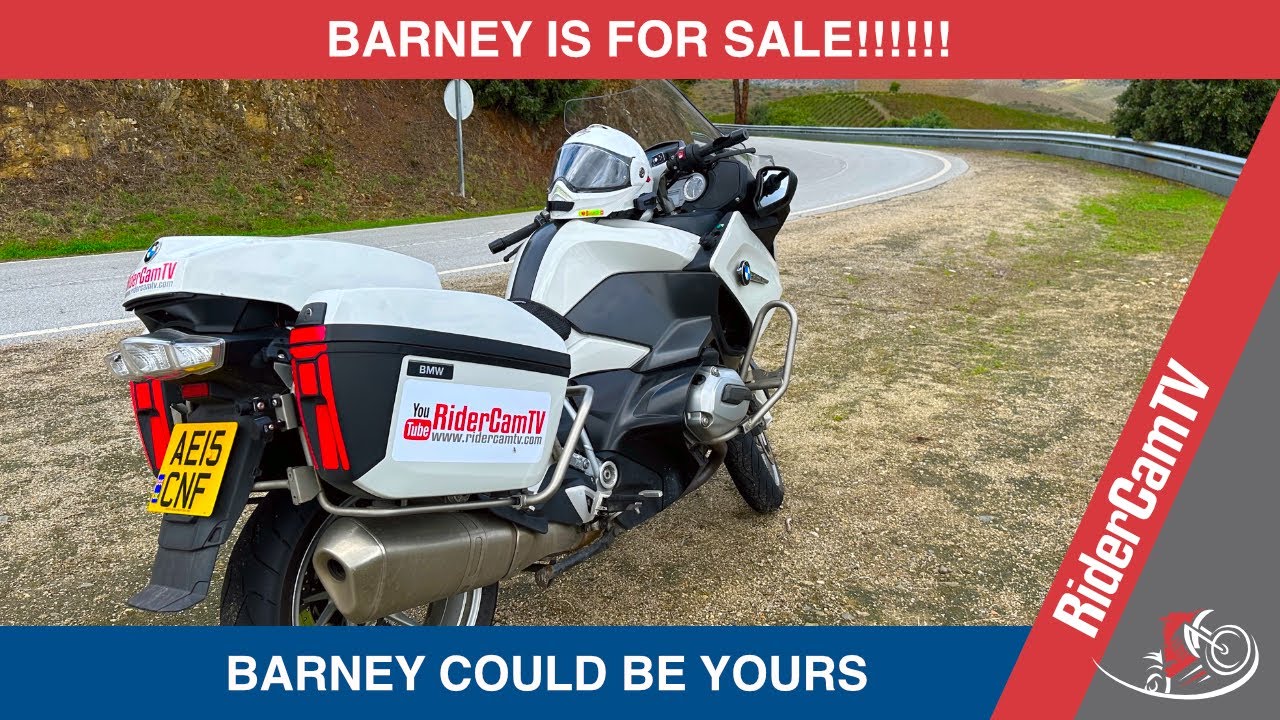 BARNEY IS FOR SALE | Can you offer him a good home