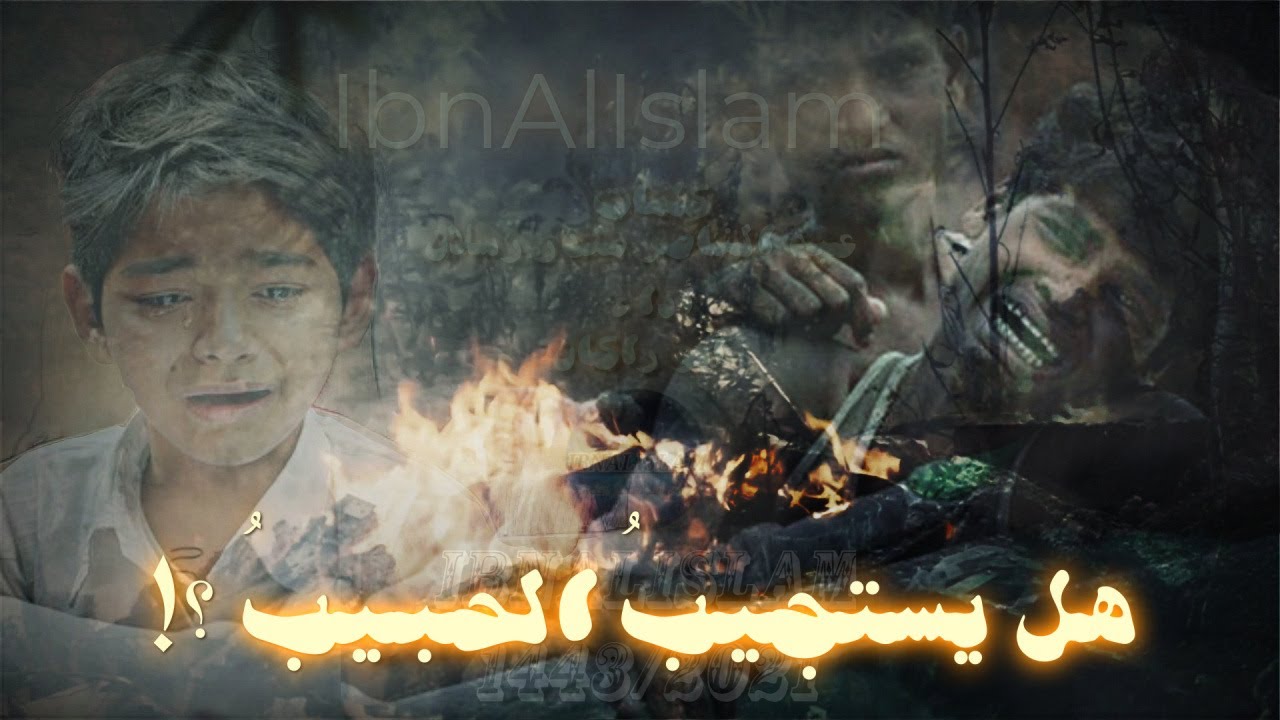 هل يستجيب الحبيب ؟! - أبو راكان