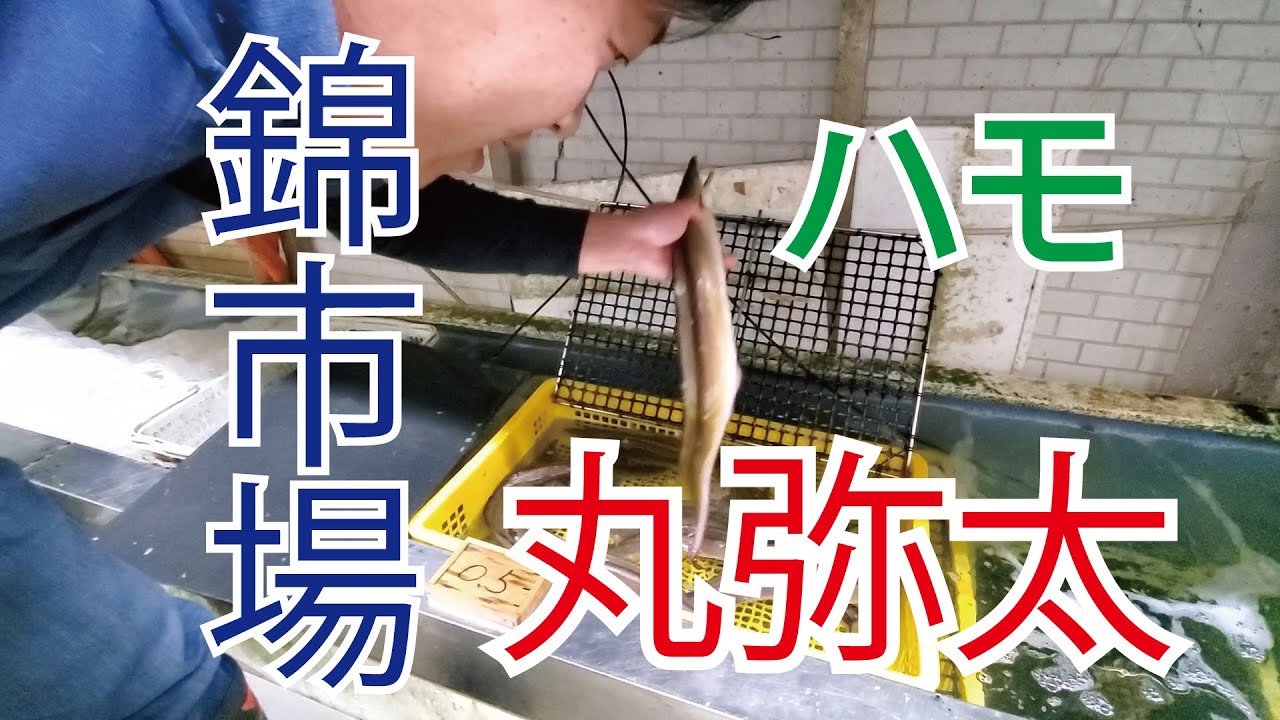 【錦市場お店紹介】丸弥太と言えばハモ◎