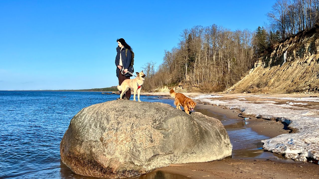 A Wild Day in the Forest &ndash; Rivers, Pancakes and the Baltic Sea