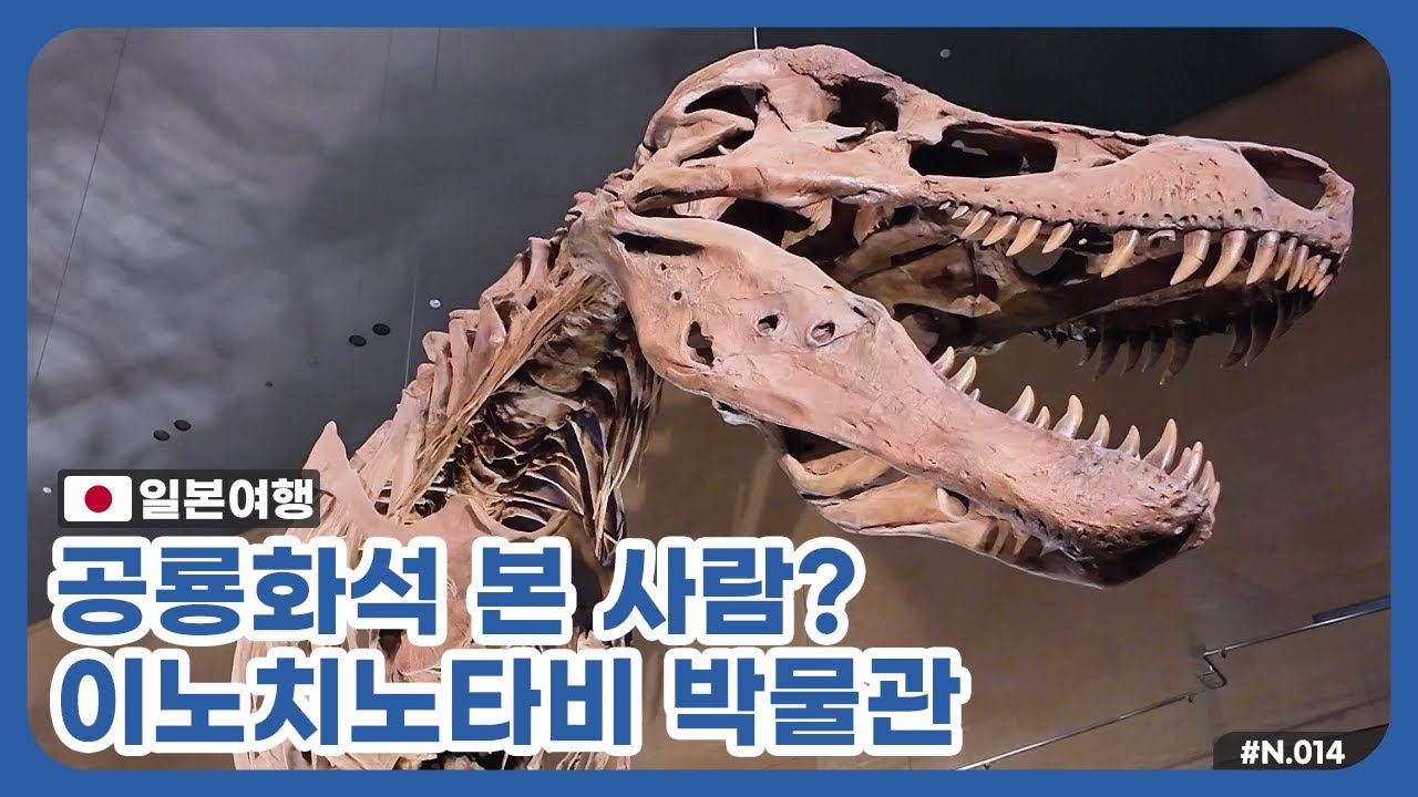 [N.14 일본여행] 공룡화석 본 적 있어요? 이노치노타비박물관, 키타큐슈여행 (TravelJapan, Kitakyushu, 北九州市, 小倉城, 北九州市立いのちのたび博物館)