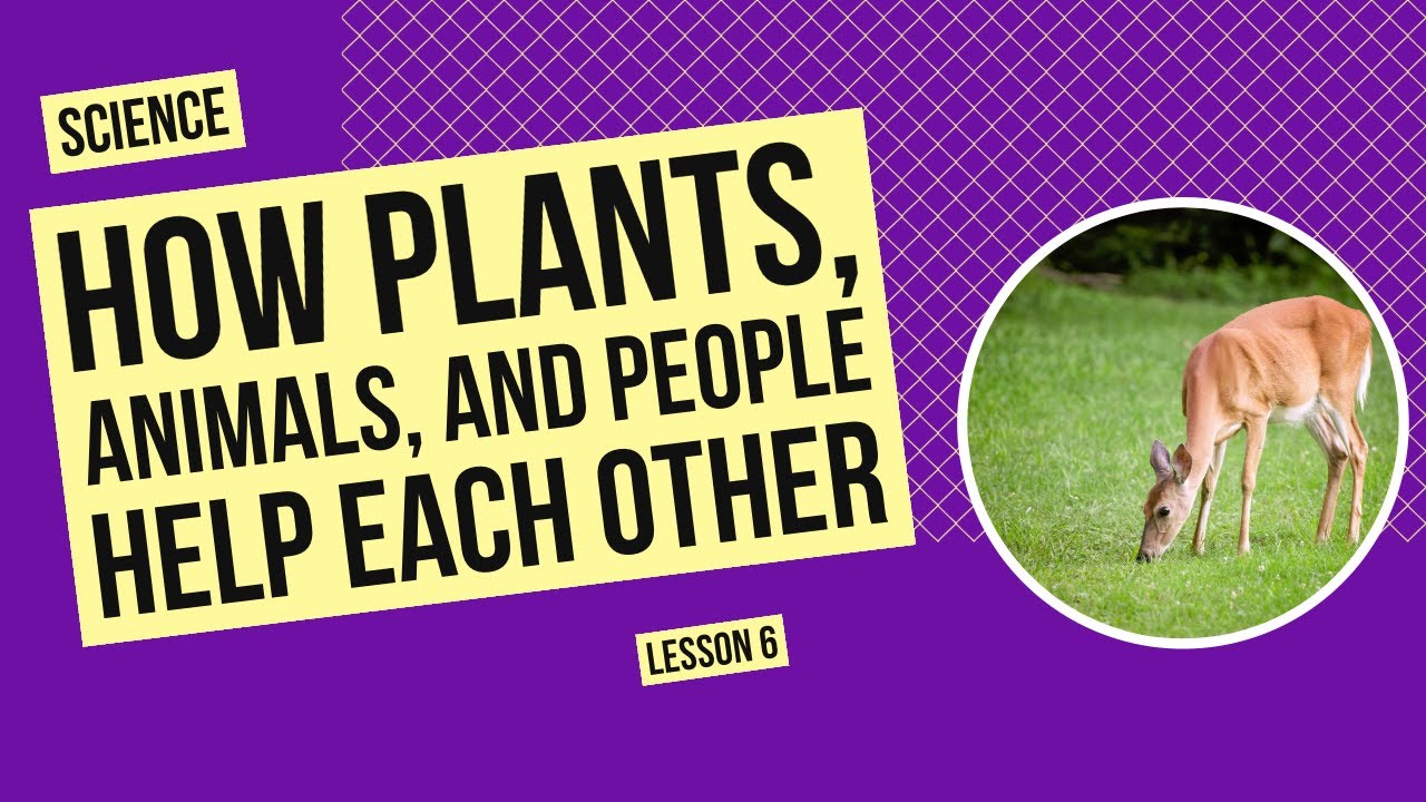 How Plants, Animals, and People Help Each Other | Science Lesson