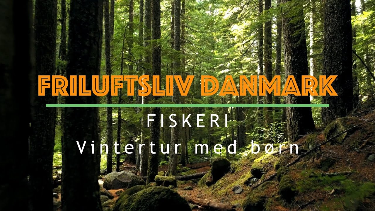 Fiskeri - Vintertur med børn (Resenbro Put and Take - Skellerup)