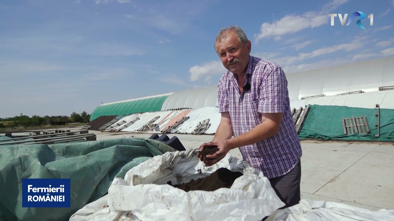 Ferma unde se produce vermicompost, un îngrășământ 100% natural