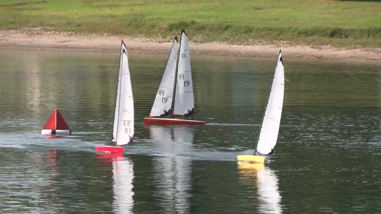 Points Racing Soling & ODOM. 14.02.2026