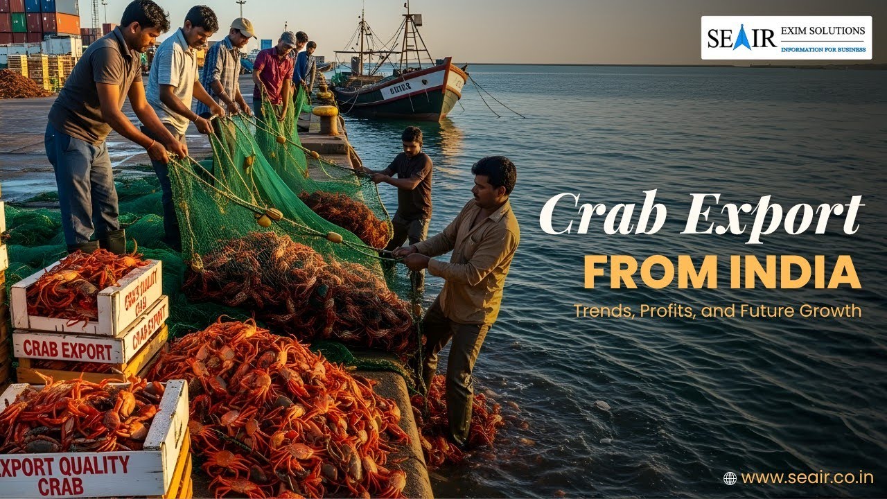 Why INDIA's Crab Export Industry Will BOOM in 2025