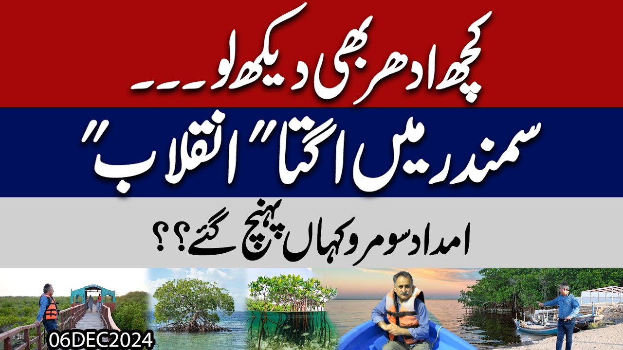 Mangroves forest Keti Bandar , revolution in sea at indus delta l Imdad Soomro travel log