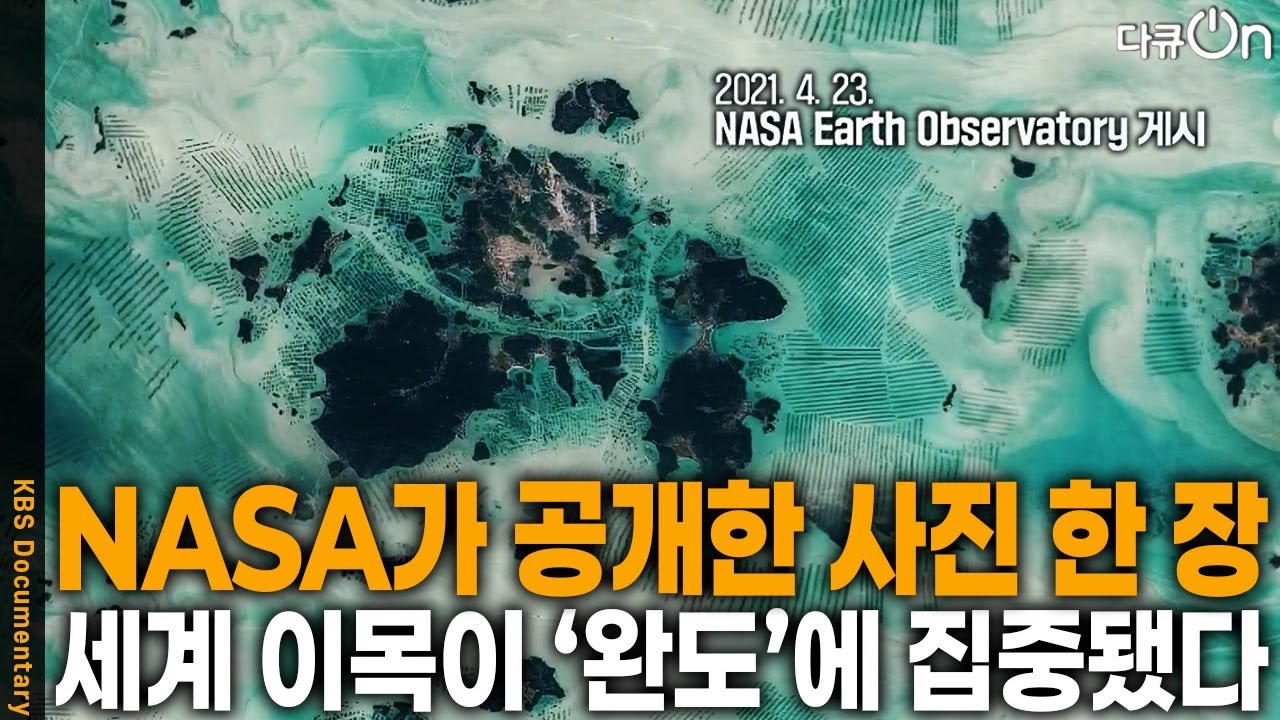 기후 위기를 극복할 열쇠가 있다. 전 세계가 사활을 걸고 있는 푸른탄소, 블루카본이란? | KBS 20250419 방송