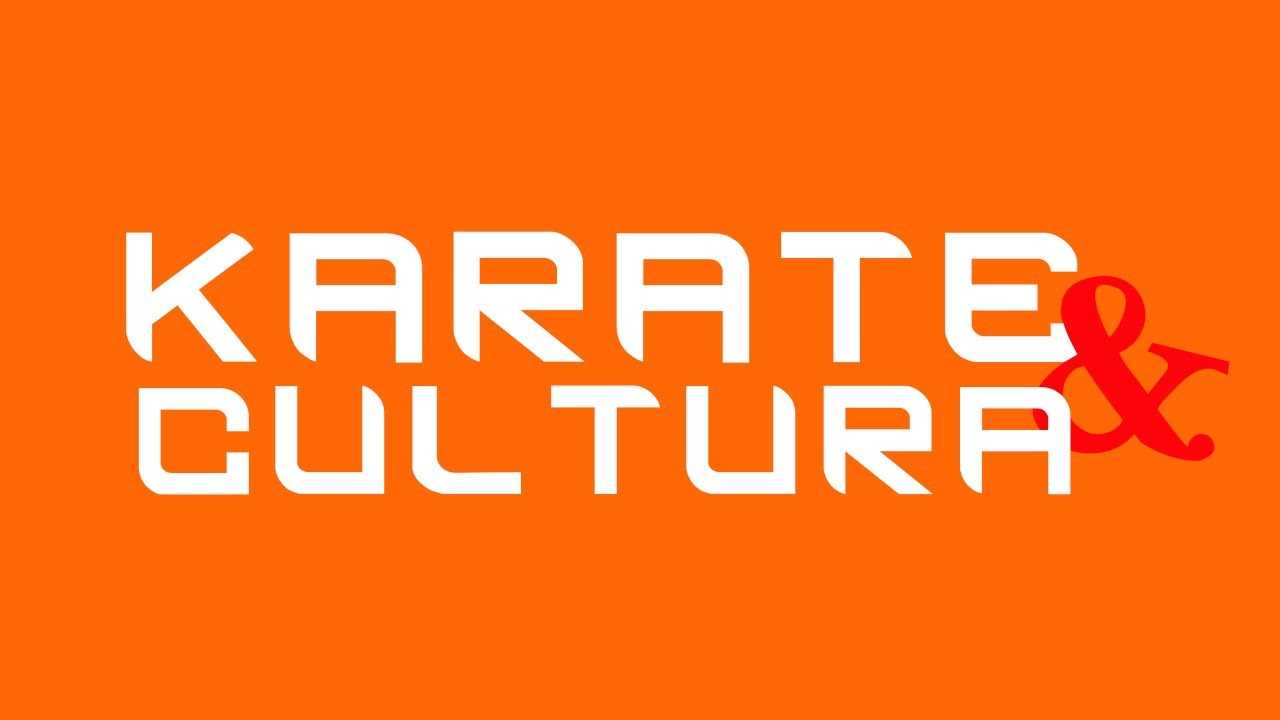 KARATE DE CONTATO SEISHINKAI PARA INICIANTES