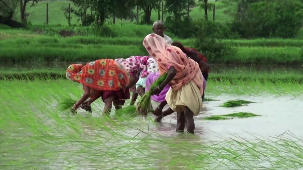 Kannada Praise & Worship song - Harvest Season
