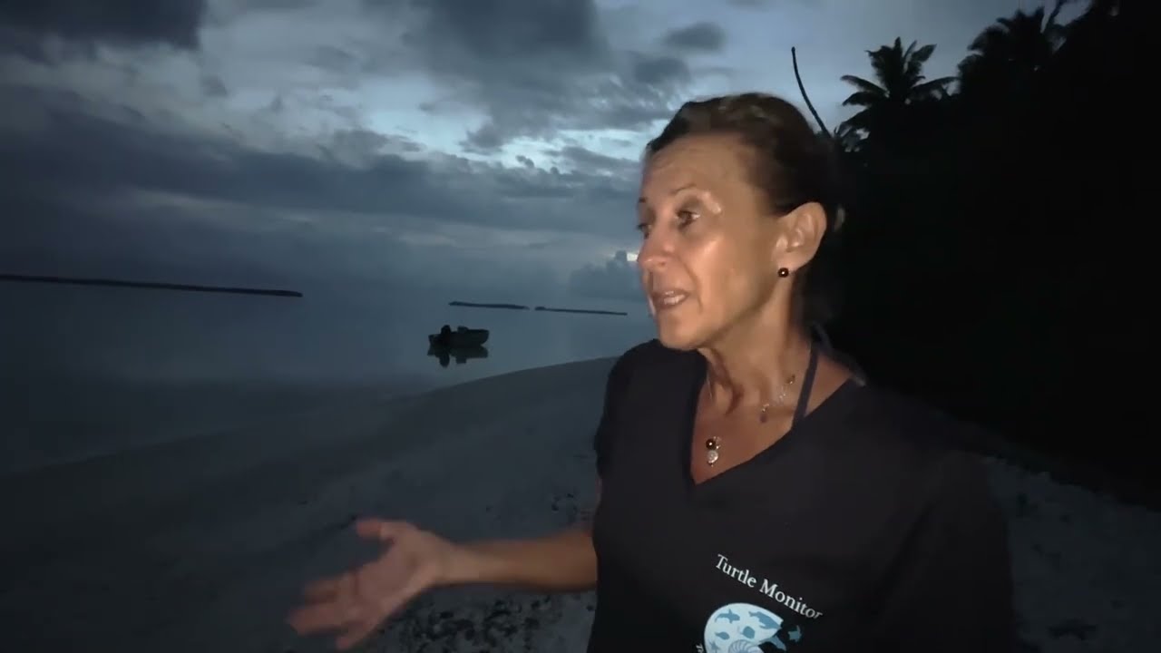 Les tortues de Tetiaroa - Reportage diffusé le 22 avril 2025 sur Polynésie La 1ère