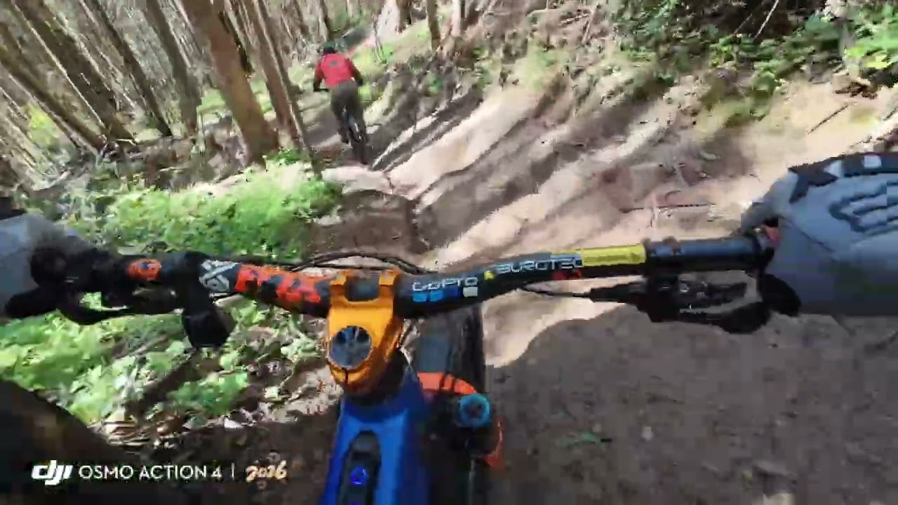 One Of My Favorite Trail in the Bay Are #mtb #fypyoutube #flowtrail