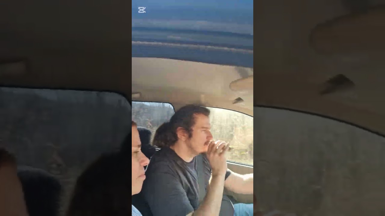 Premiere LIVE: Explorăm Pădurea Ilișești pe Soare! 🌞 Verde Intensi & Poveste cu Urs Misterios 😂