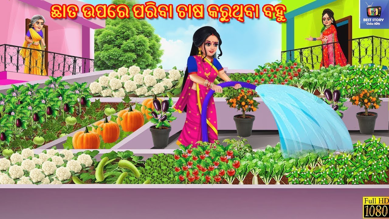 Chhata upare pariba chasa karuthiba bahu | ଛାତ ଉପରେ ପରିବା ଚାଷ କରୁଥିବା ବହୁ | Odia Stories |Odia Story