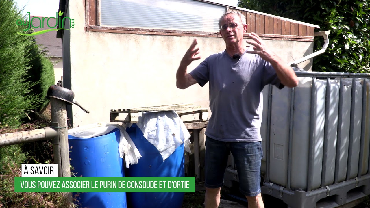 Comment UTILISER le PURIN de CONSOUDE ?