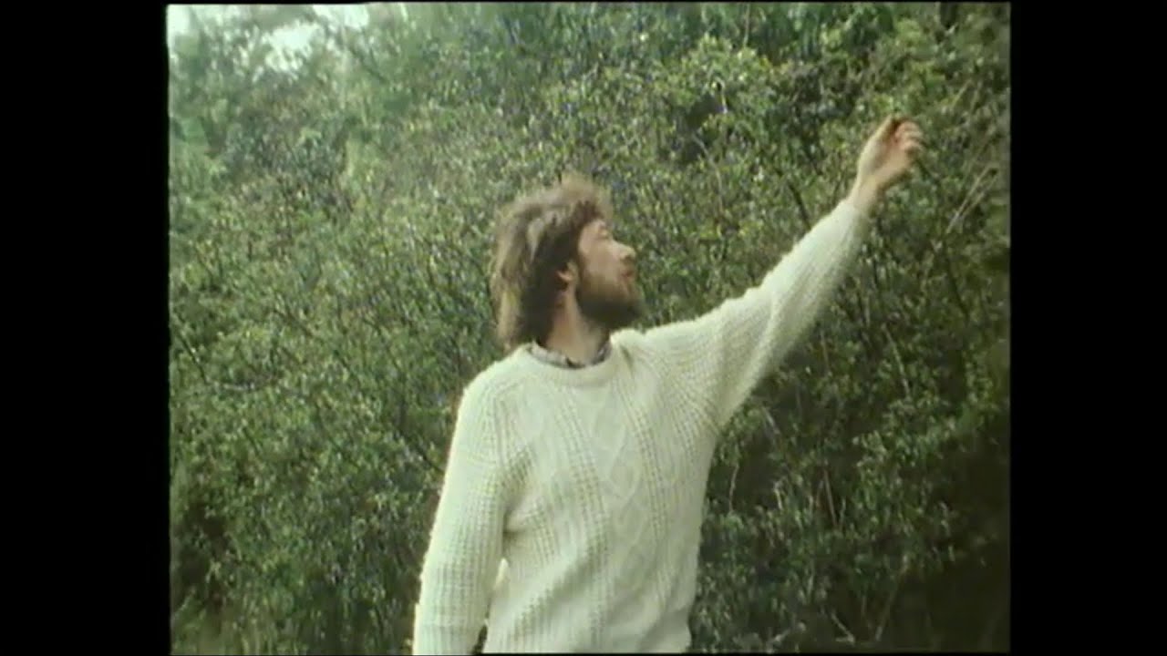 Foraging Food From The Hedgerows, Ireland 1984