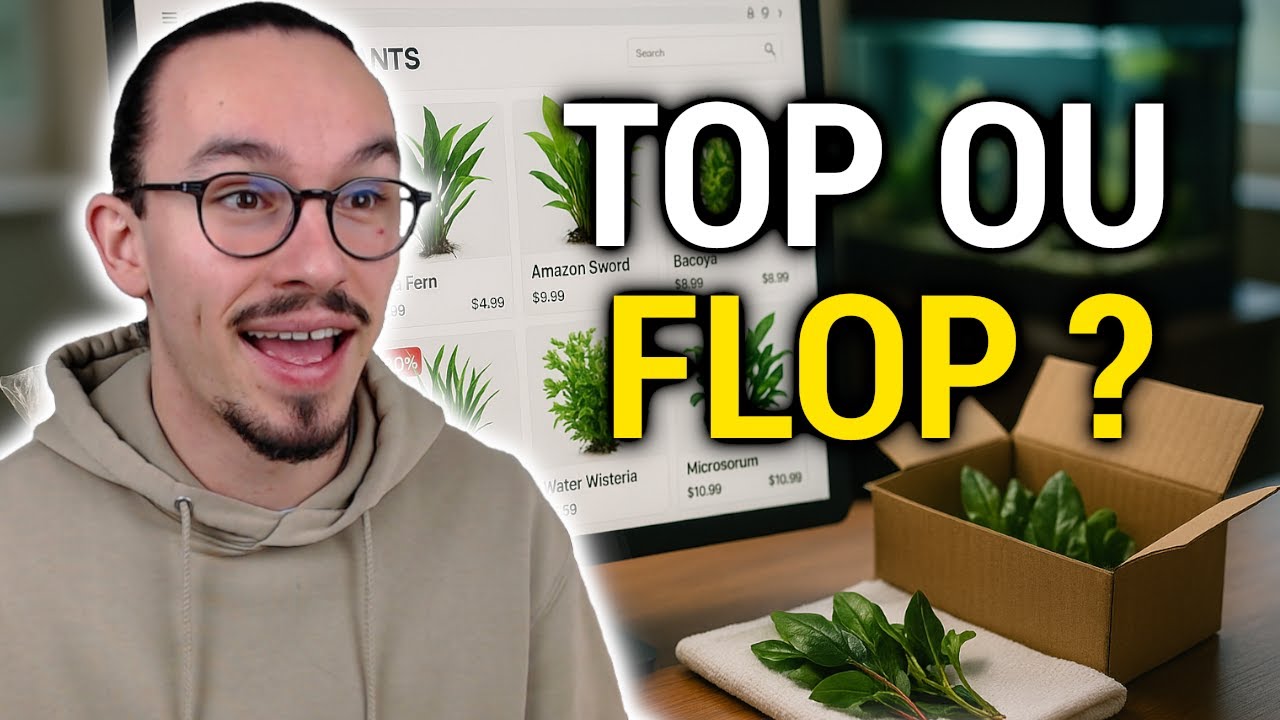 J&rsquo;ai command&eacute; des plantes d&rsquo;aquarium sur Internet&hellip; voici ce que j&rsquo;ai re&ccedil;u