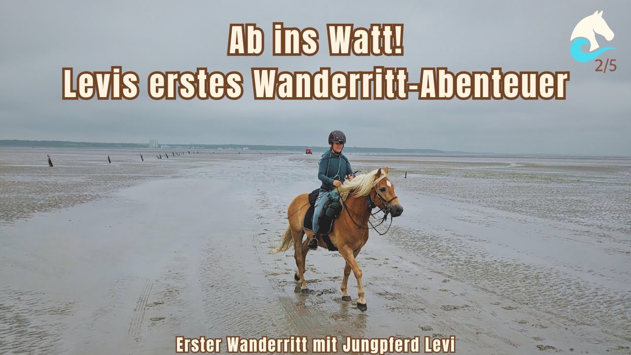 Ritt durchs Watt – Start unseres 4-Tage-Wanderritts nach Neuwerk