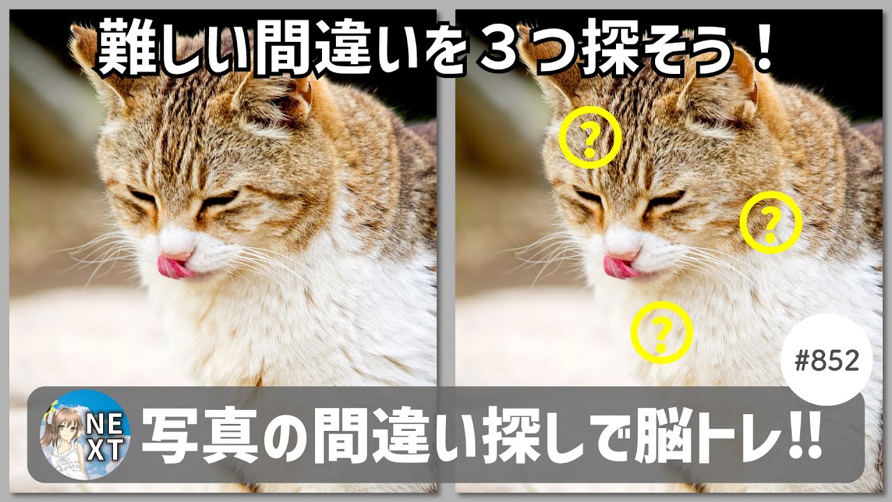 『間違い探し』写真で脳トレ！ #852 「猫の舌なめずり」「ふぐのから揚げ」「工事現場」【高難易度】｜Find the difference game in photos